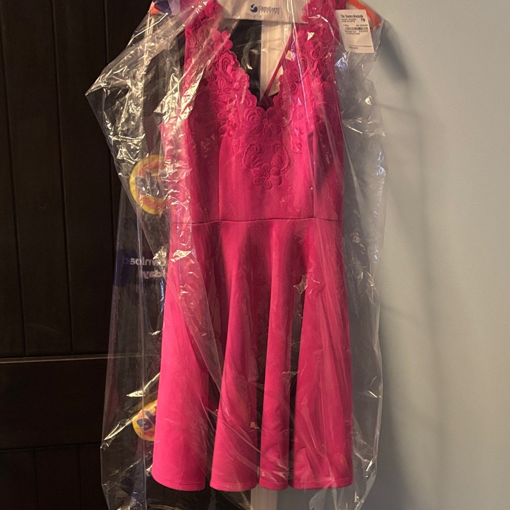 Ted Baker London Fuchsia Lace Midi Dress